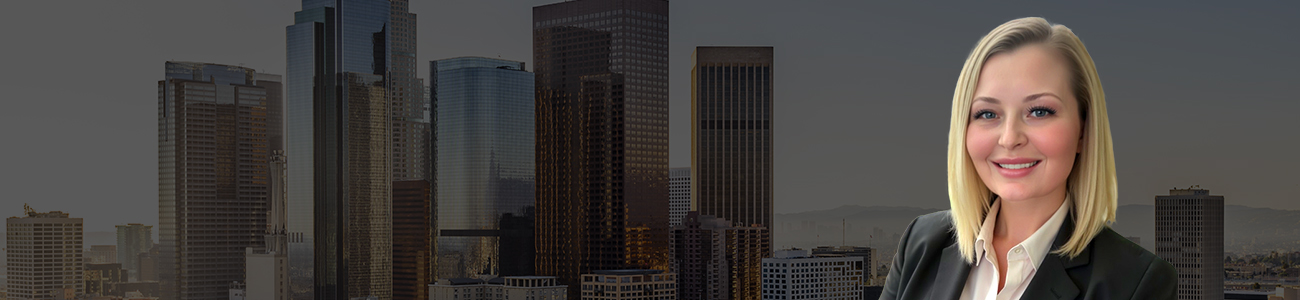 Rokita Law Banner